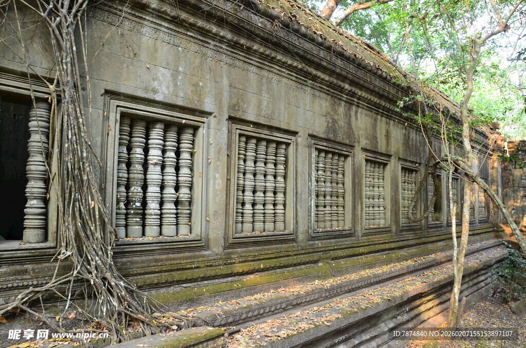 古老建筑被藤蔓缠绕