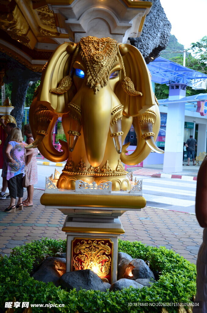 华丽金象雕塑于庭院中