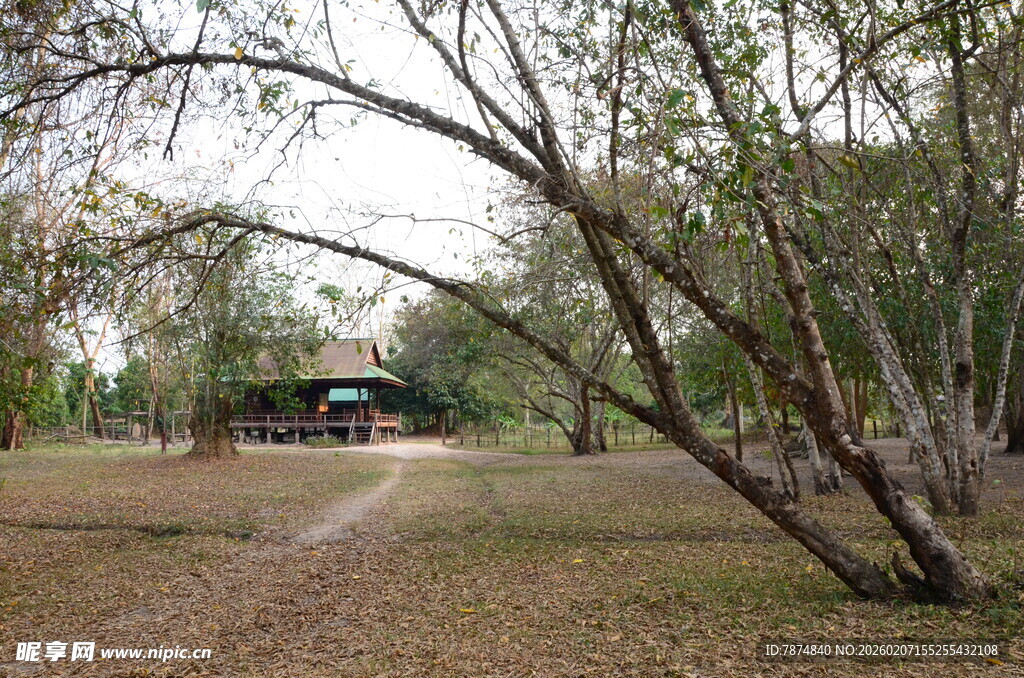 林间小道旁的静谧小屋