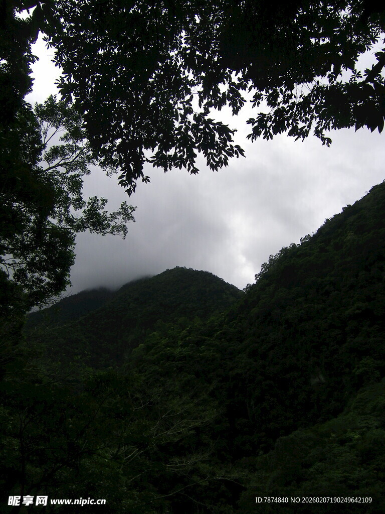 山林间的云雾缭绕景象