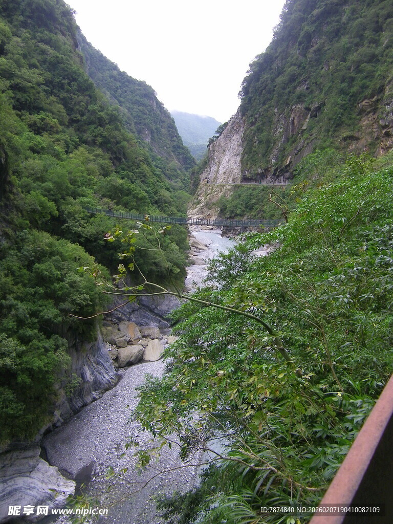 山间溪流穿林而过