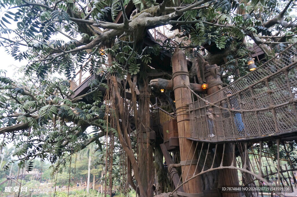 树上的奇妙木质小屋