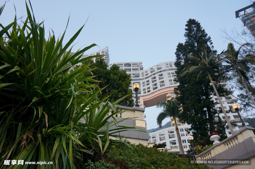 城市绿植旁的建筑景观