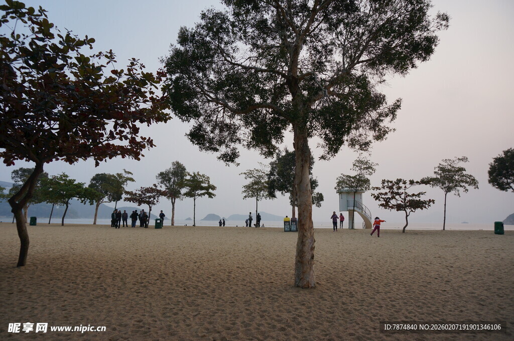 海边沙滩树木休闲场景