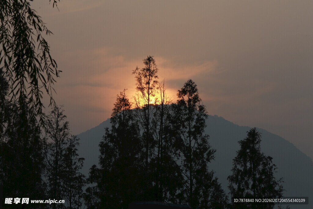 夕阳下的山林美景