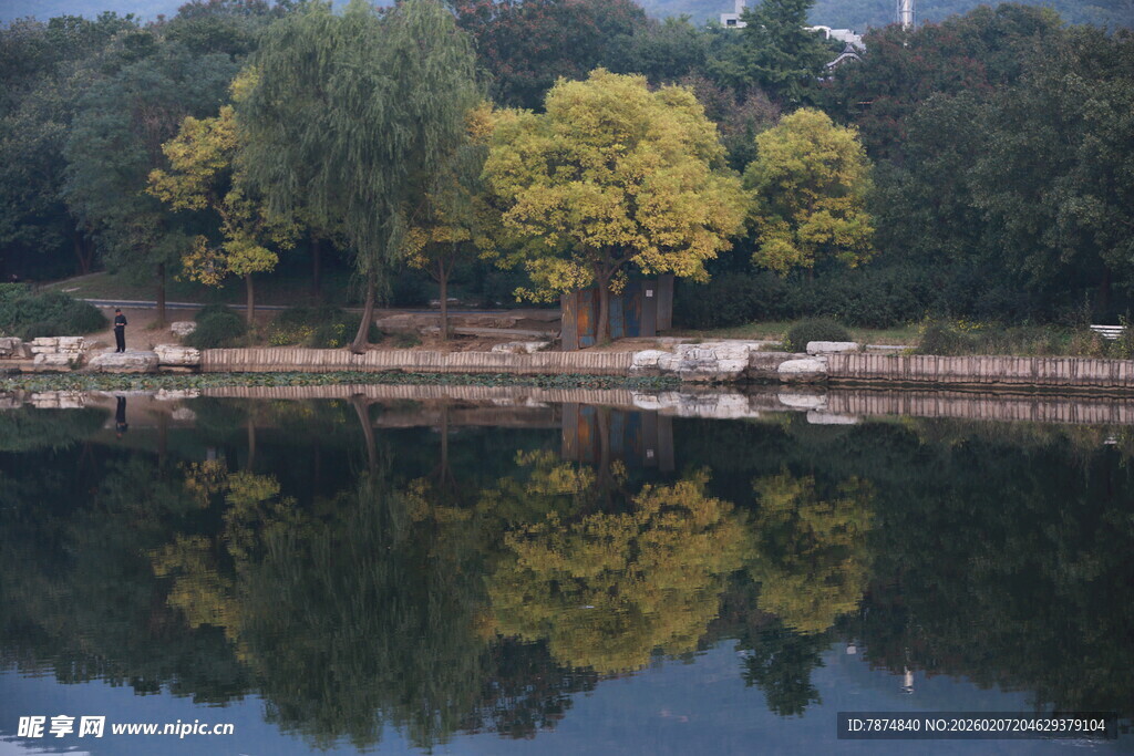 湖畔秋景 树影倒映于湖面