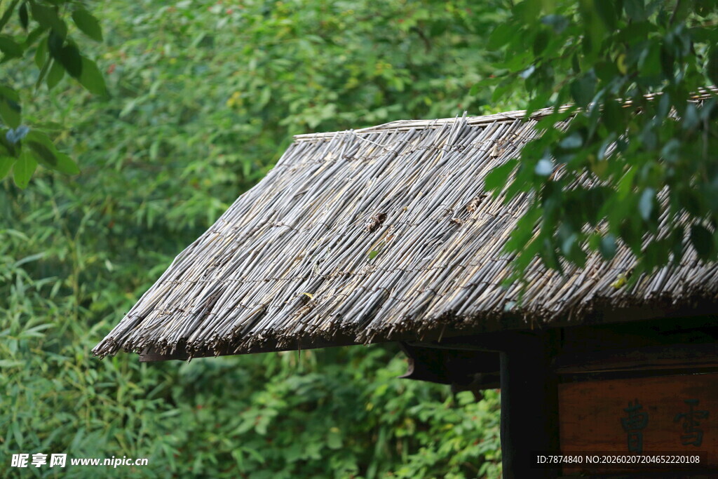林间草顶小屋