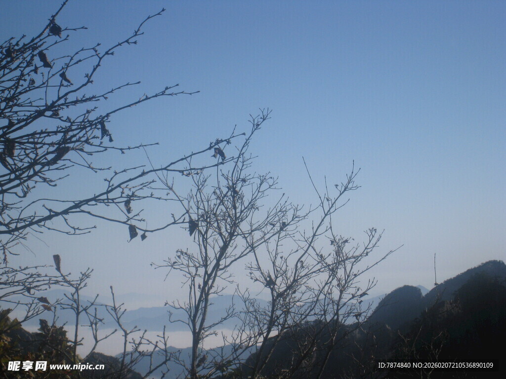 山间枯树映蓝天