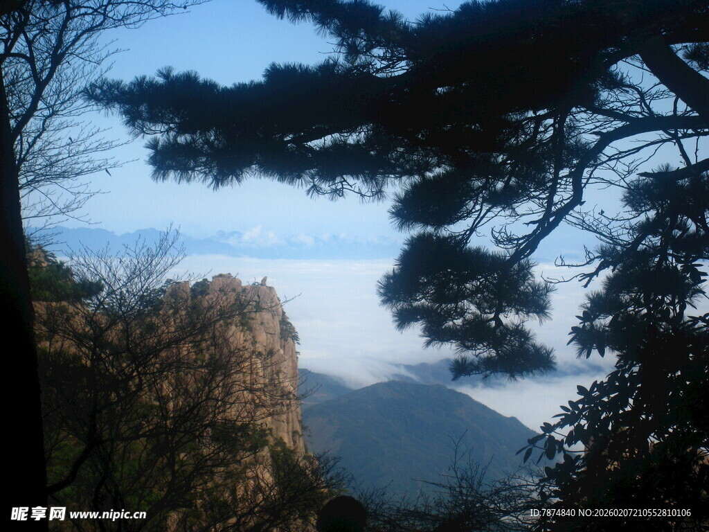 山间云海与苍松美景