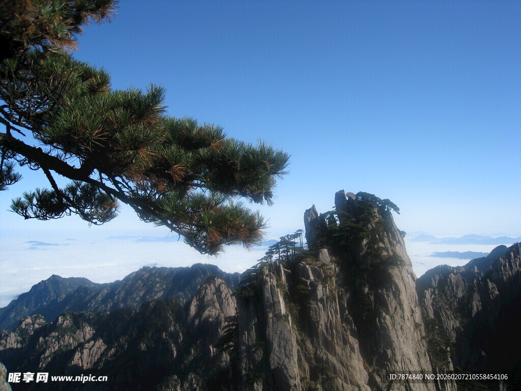 黄山奇峰与苍松美景