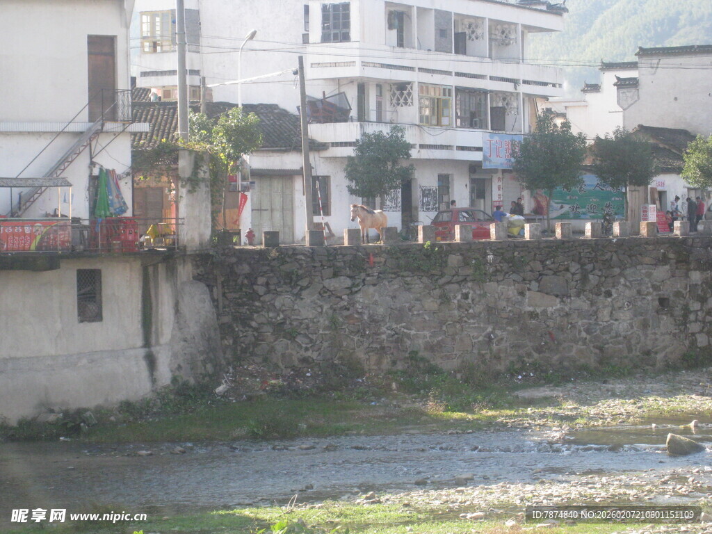 河边城镇风景