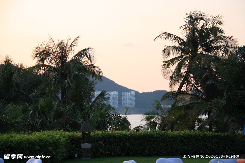 黄昏下的海滨棕榈景观