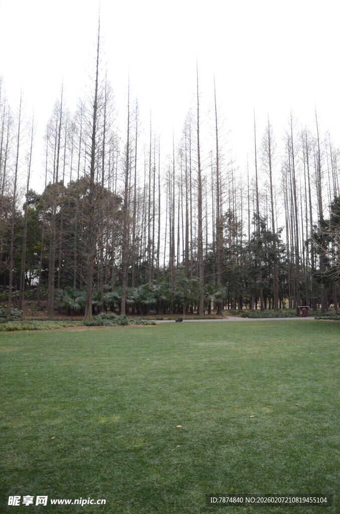 户外开阔草地与树木景观