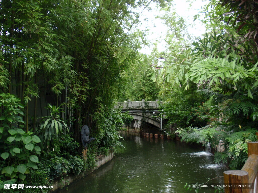 幽静河畔绿植环绕的美景