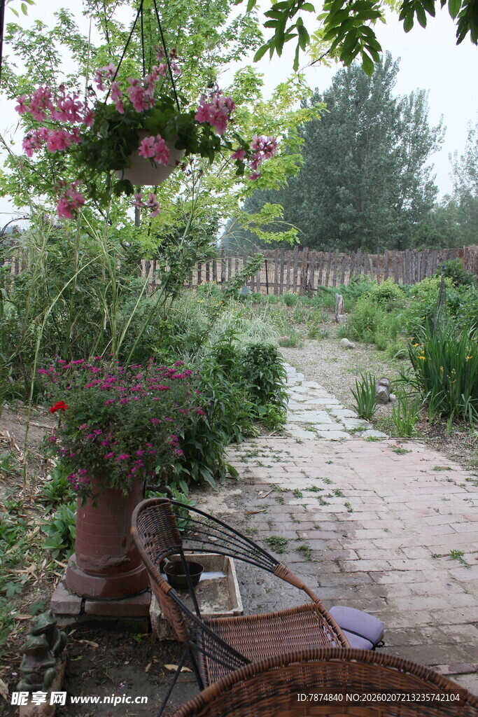 庭院绿植景观 闲适氛围