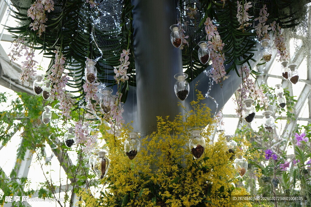 花园中的多彩花卉景观