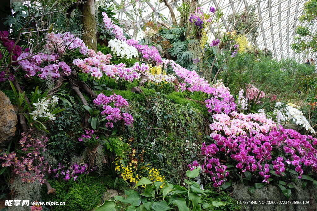 繁花似锦的美丽花园