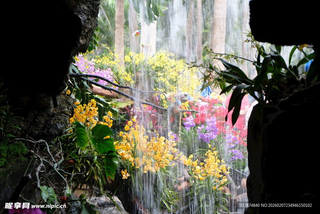 繁花盛开的梦幻植物景观