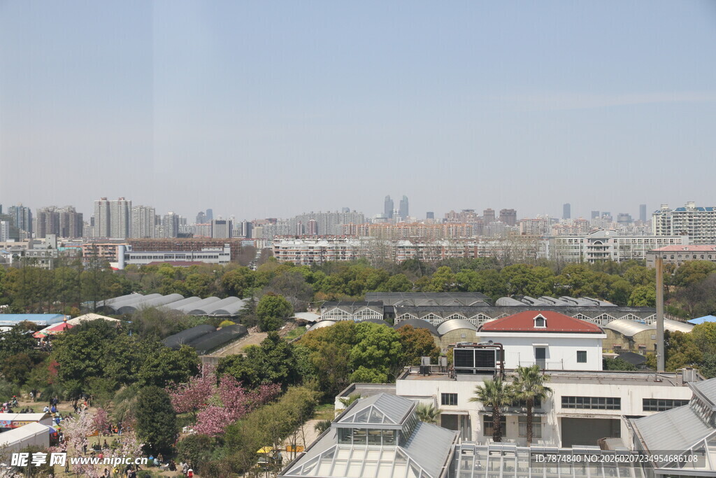 城市景观中的建筑与绿化