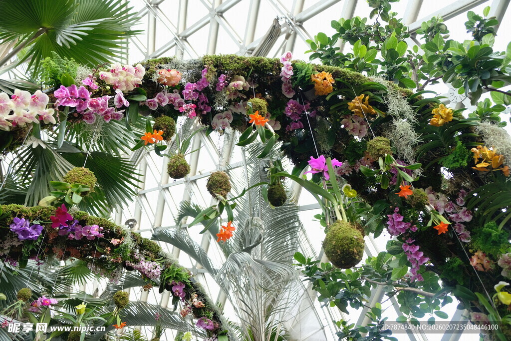 缤纷花卉装饰的拱形景观
