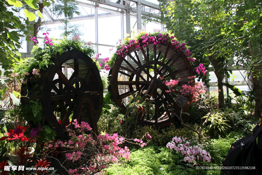 花园中的精美花卉装饰