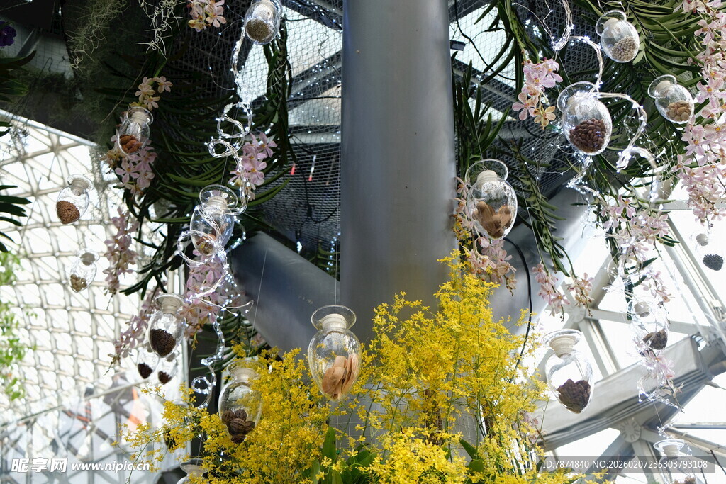 户外花卉装饰场景