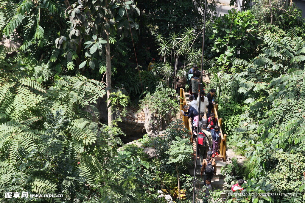 丛林中进行的高空冒险活动