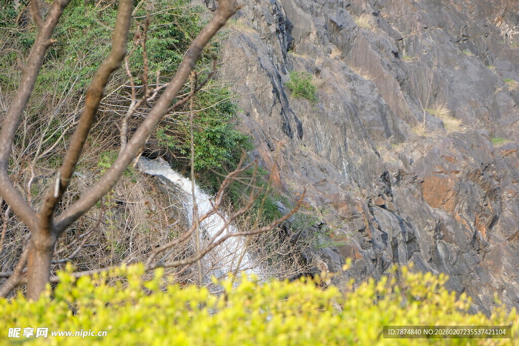 山间瀑布旁的烂漫黄花