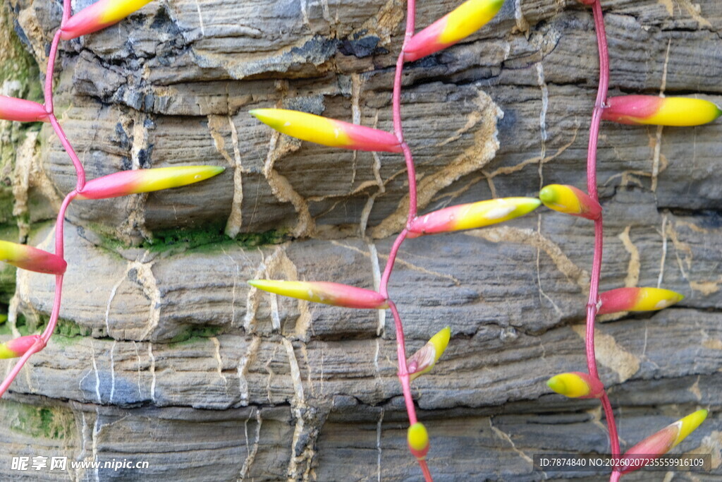 彩色浮标挂于石墙旁