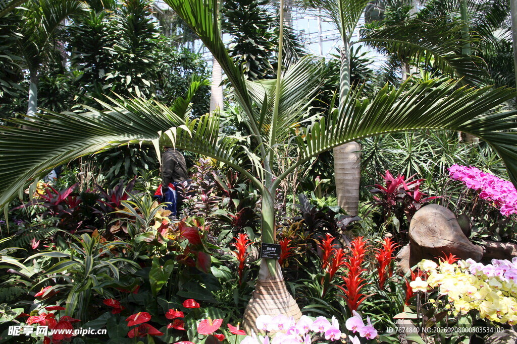 多彩花卉与绿植景观