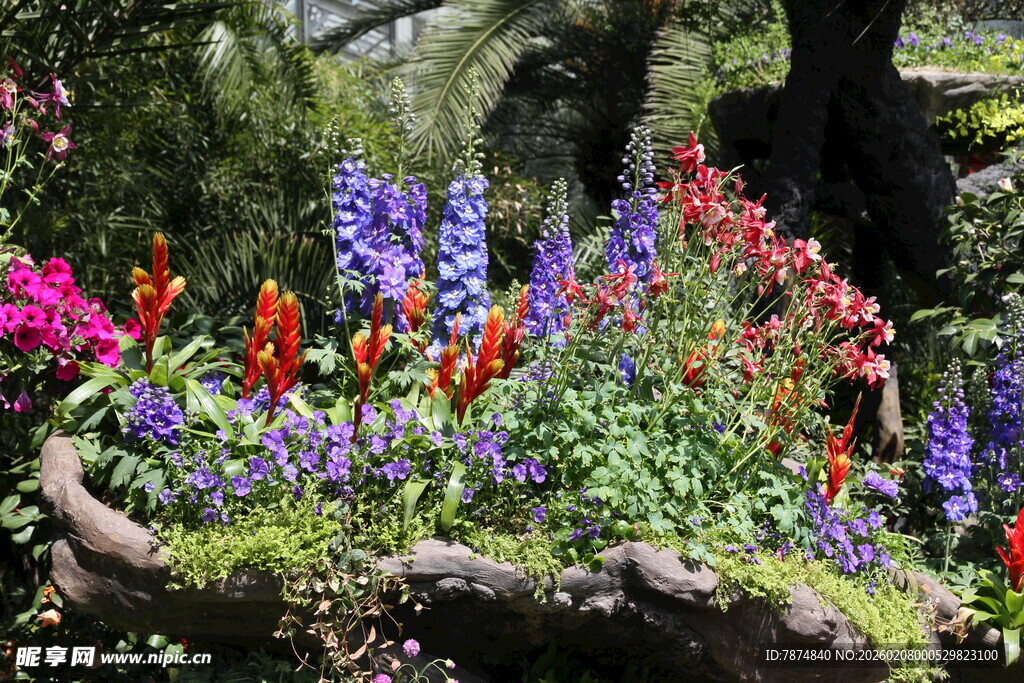 多彩花卉装点的自然景致