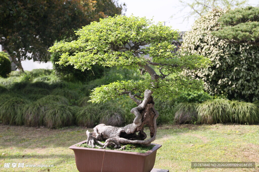 庭院中的动物雕塑盆景