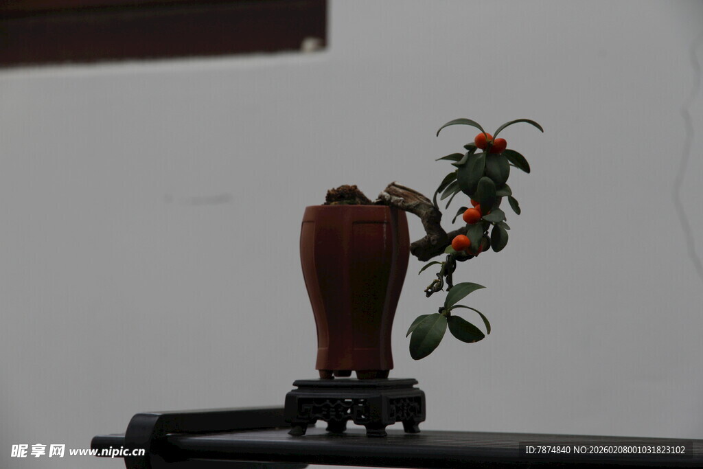 古朴花瓶插绿植