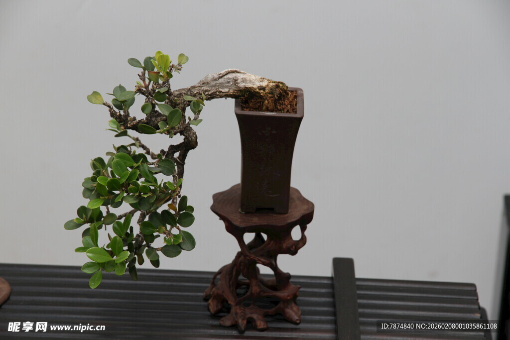 古朴雅致盆景摆件