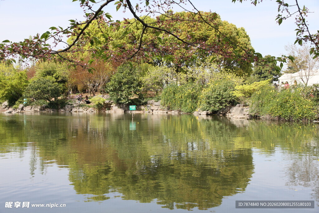 湖畔绿树倒映的静谧风光