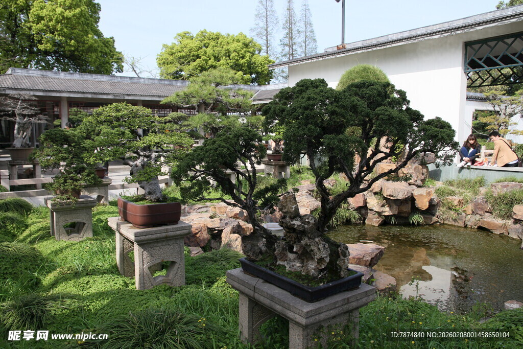 中式庭院盆景景观