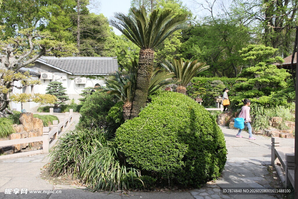 日式园林景观绿植景致