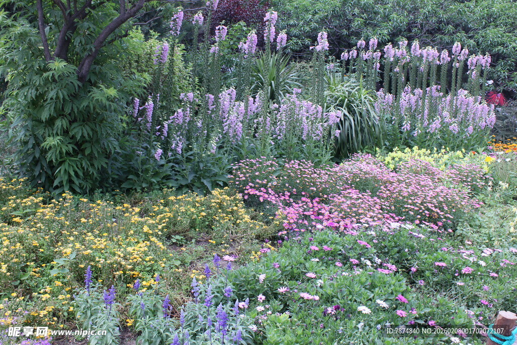 缤纷多彩的花园花卉景观