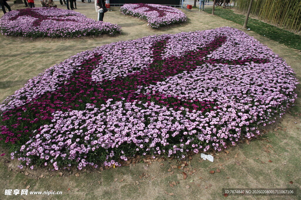美丽花卉造型景观