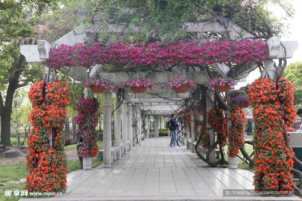 花廊美景 漫步浪漫通道