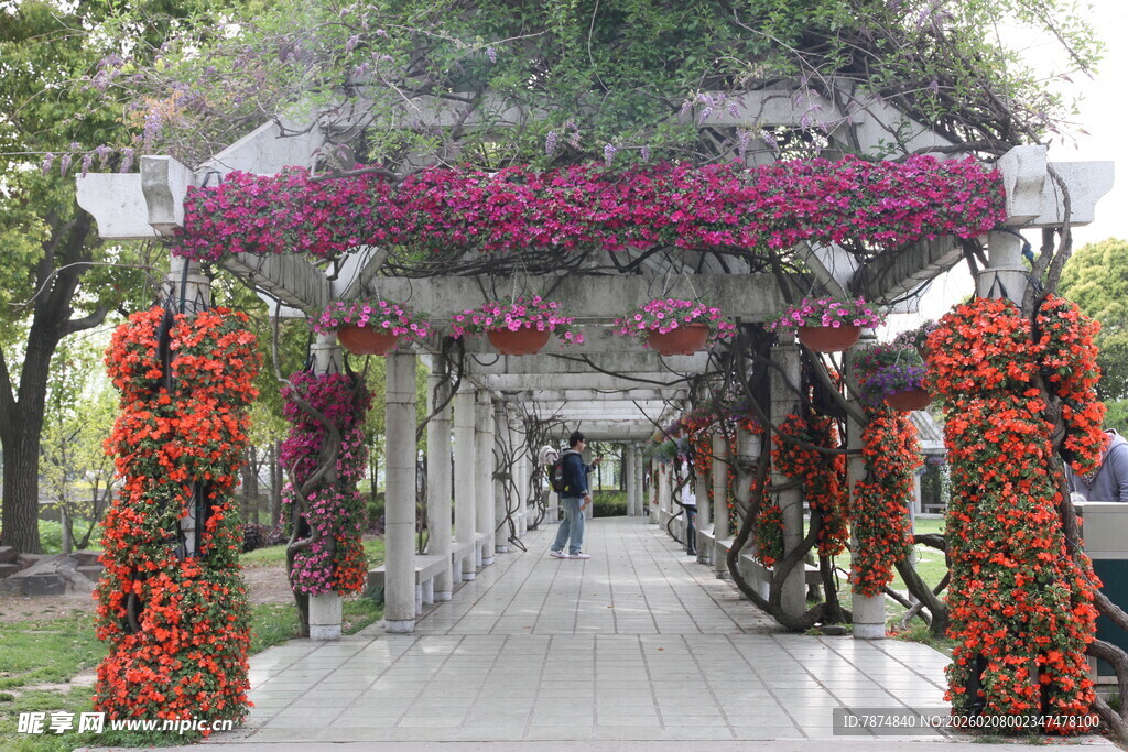 花饰长廊 浪漫景观