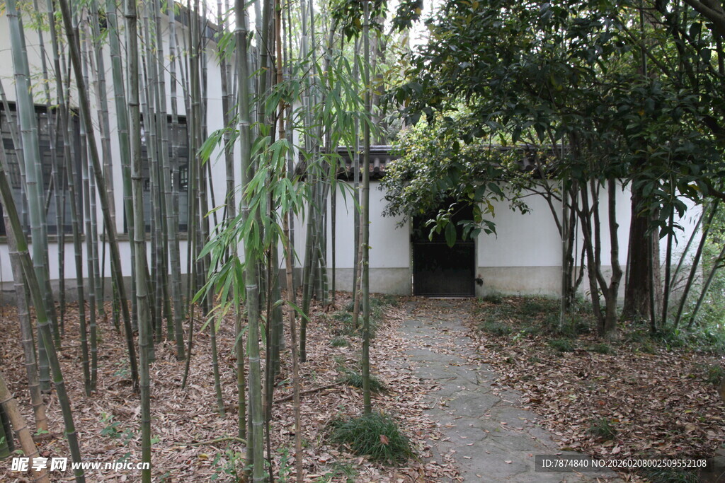 竹林小径旁的静谧小屋