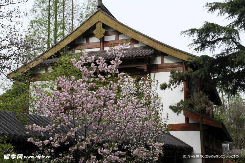 中式古建旁绽放的繁花