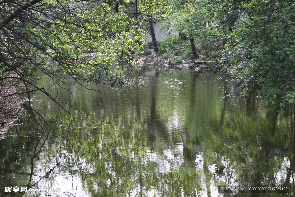 林间静谧小河 绿意盎然
