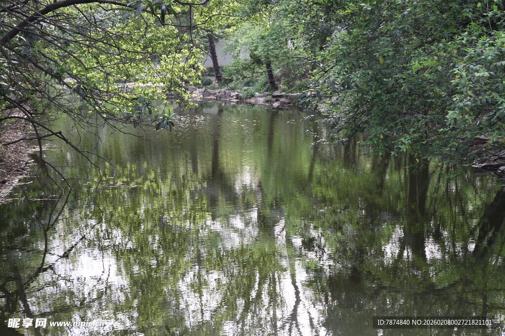 林间静谧小河 绿意盎然