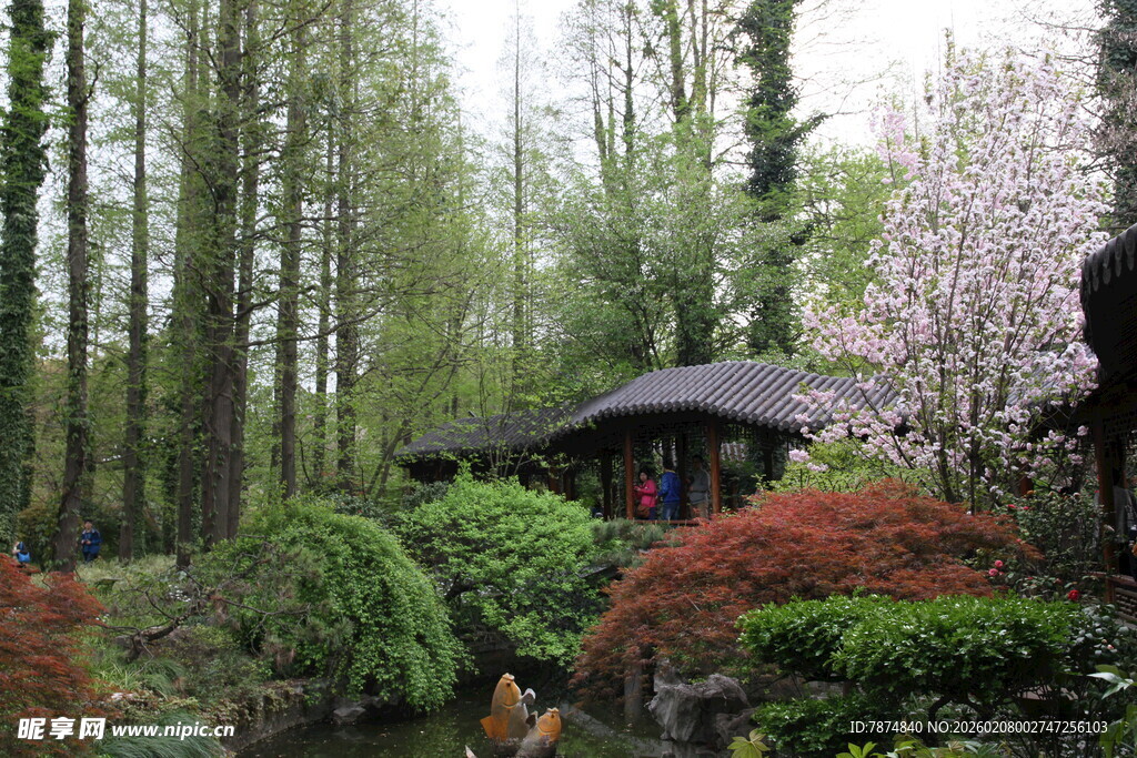 中式园林景致 花木环绕亭