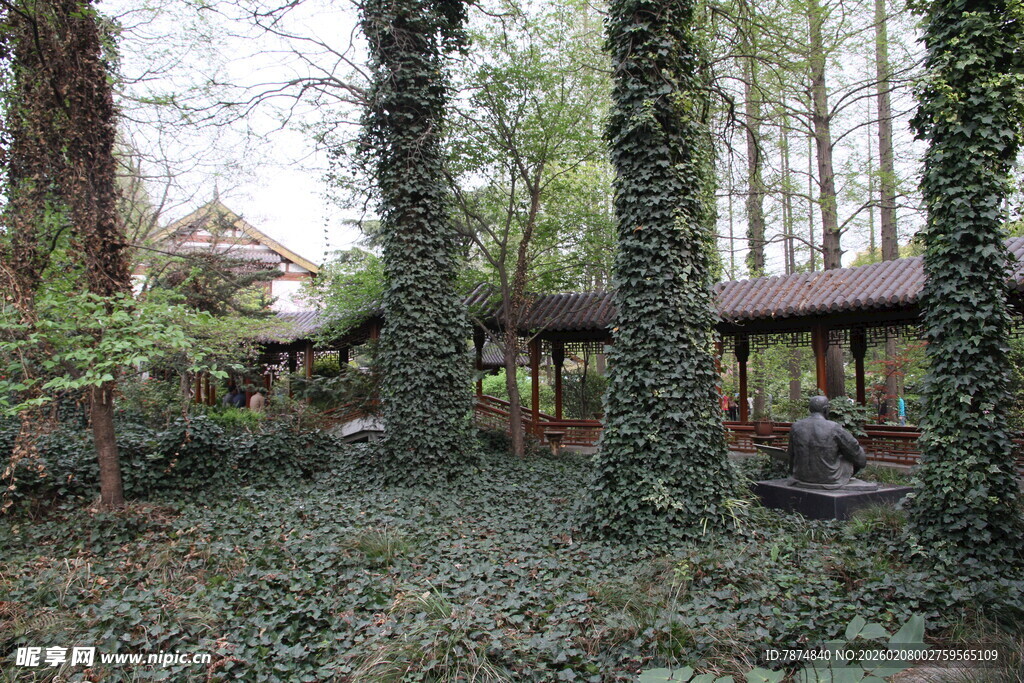 林间木屋 静谧自然之景