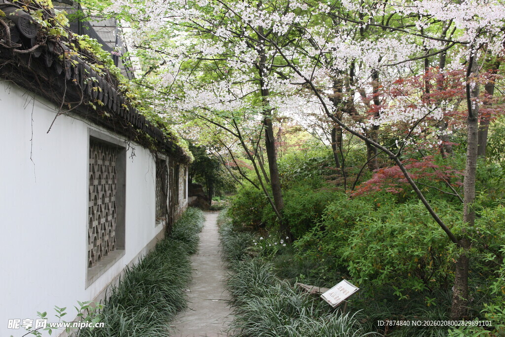 中式庭院幽径 繁花相伴