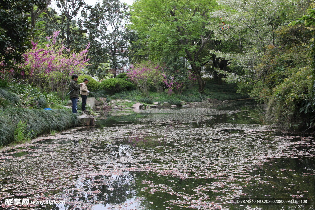 静谧林间湿地景观