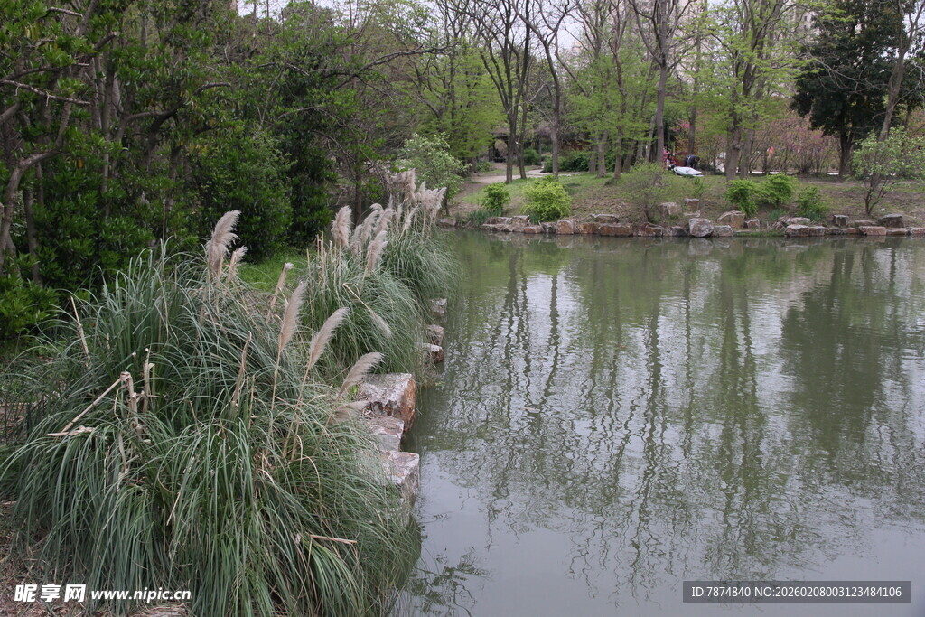 湖畔葱郁植物景观